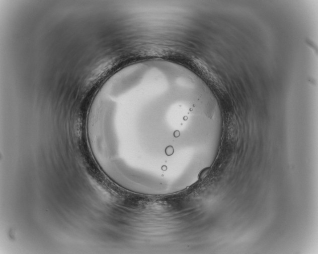 X0000096220683200802011344