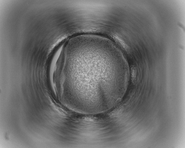 X0000096220684200802011344