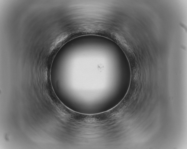 X0000096220685200802011344