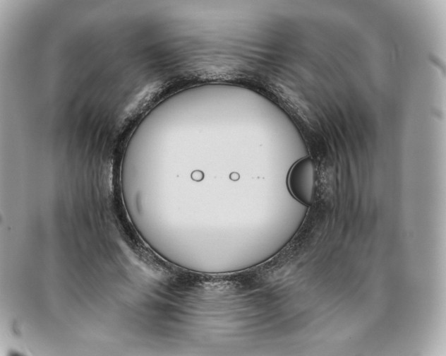 X0000096220686200802011344