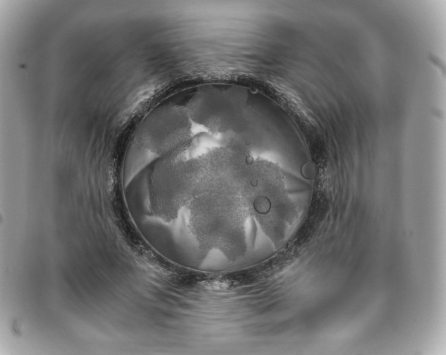 X0000096220687200802011344