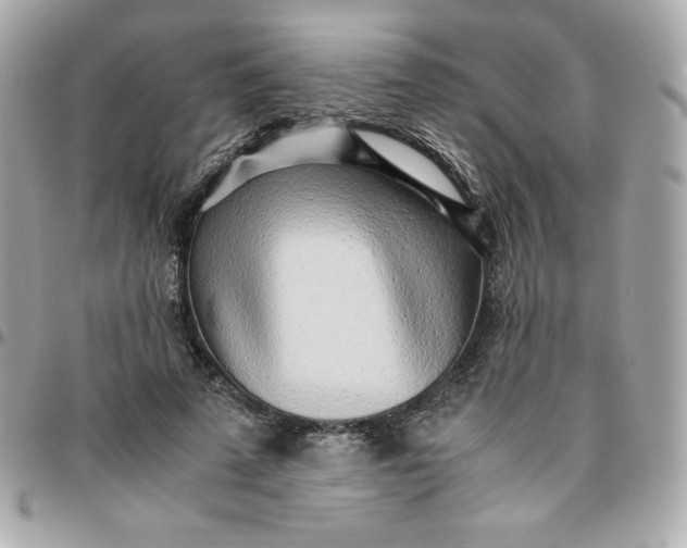 X0000096220689200802011344