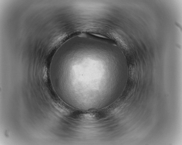 X0000096220692200802011344