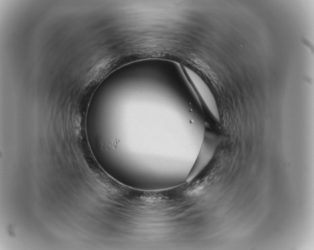 X0000096220693200802011344