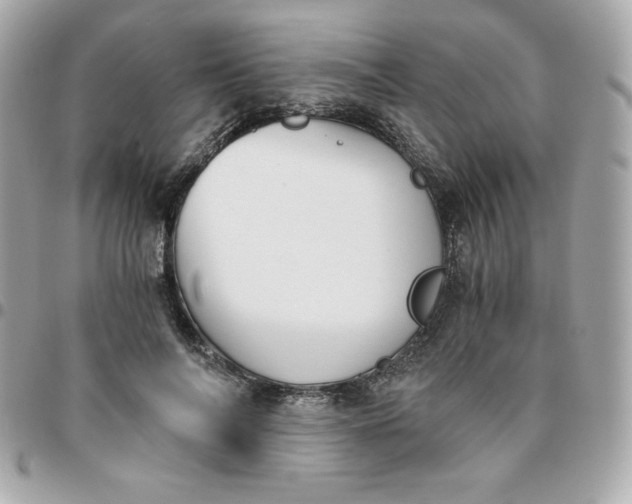 X0000096220694200802011344