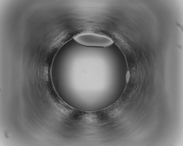 X0000096220696200802011343