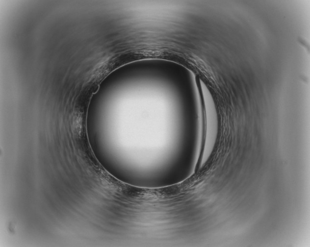 X0000096220697200802011343