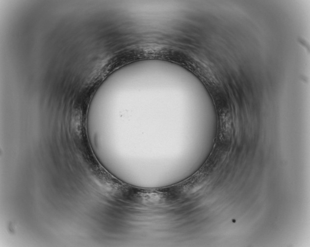 X0000096220698200802011343