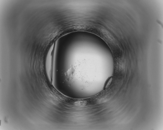 X0000096220700200802011343