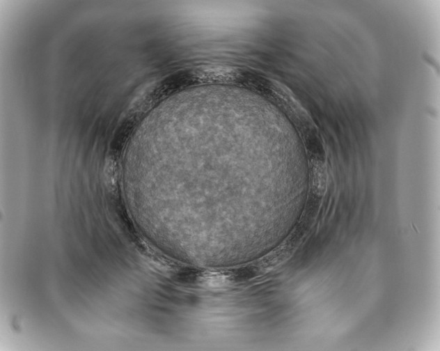 X0000096220701200802011343