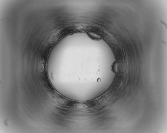 X0000096220702200802011343