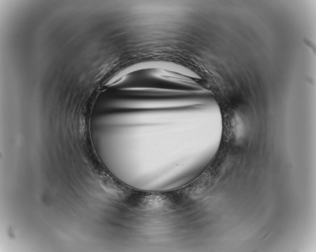 X0000096220704200802011343