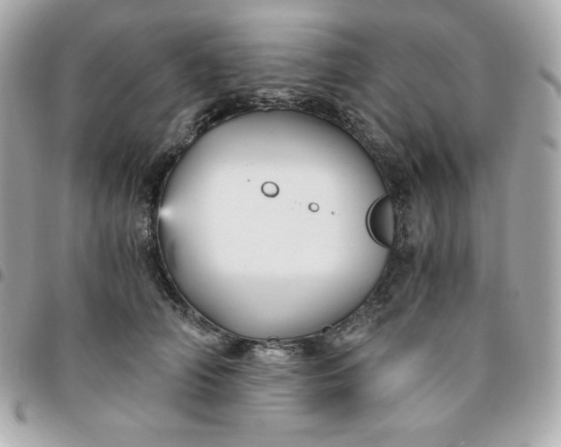 X0000096220706200802011343