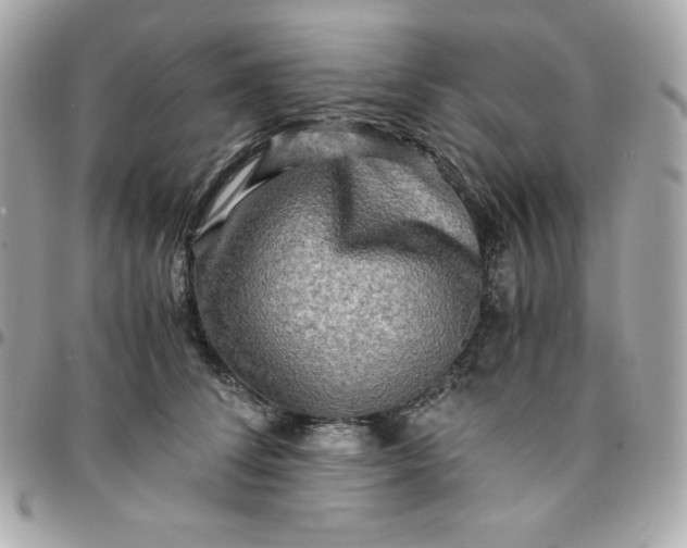 X0000096220708200802011343