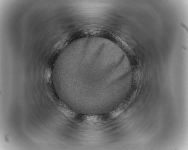 X0000096220709200802011343