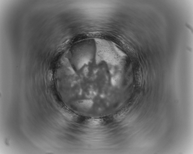 X0000096220711200802011343