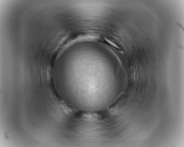 X0000096220712200802011343