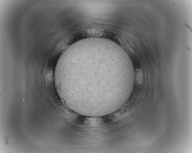 X0000096220713200802011343