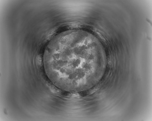 X0000096220715200802011343