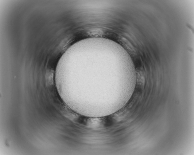 X0000096220717200802011343