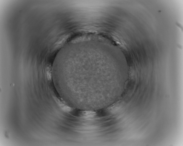 X0000096220719200802011343