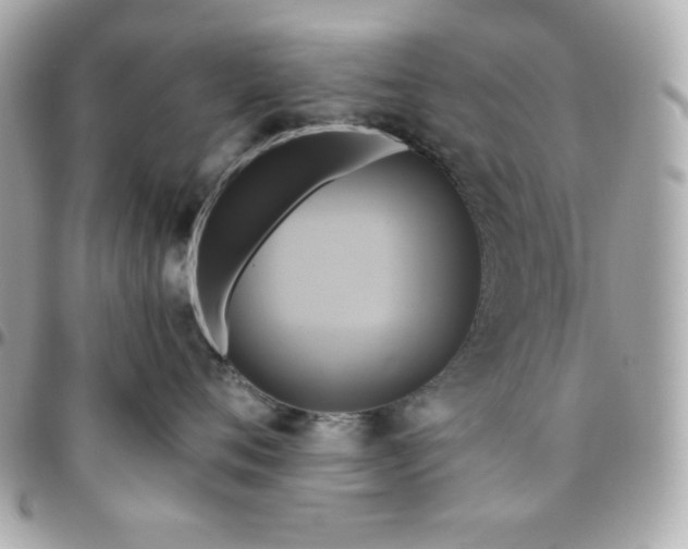 X0000096220720200802011343