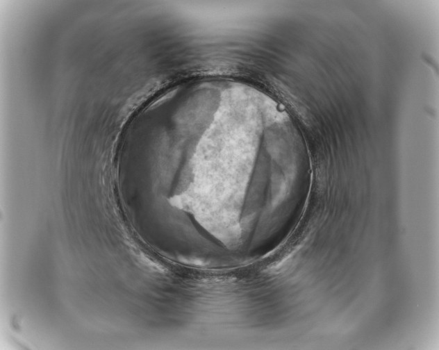 X0000096220721200802011342