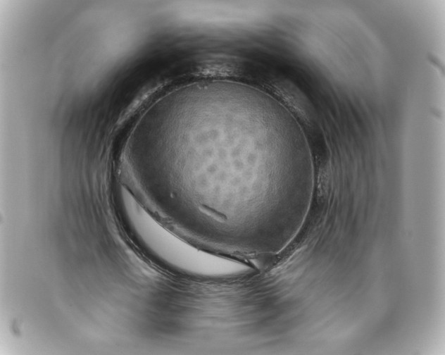 X0000096220722200802011342