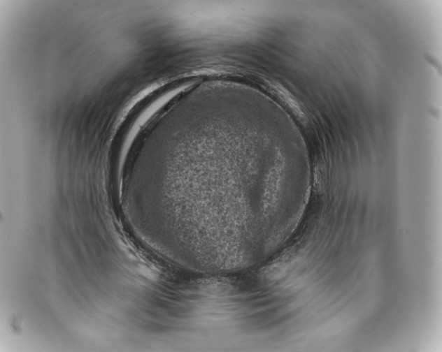 X0000096220724200802011342