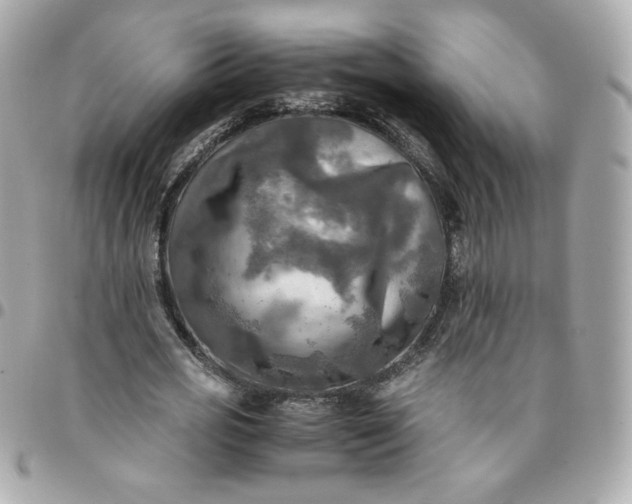 X0000096220725200802011342