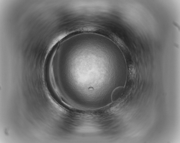 X0000096220726200802011342