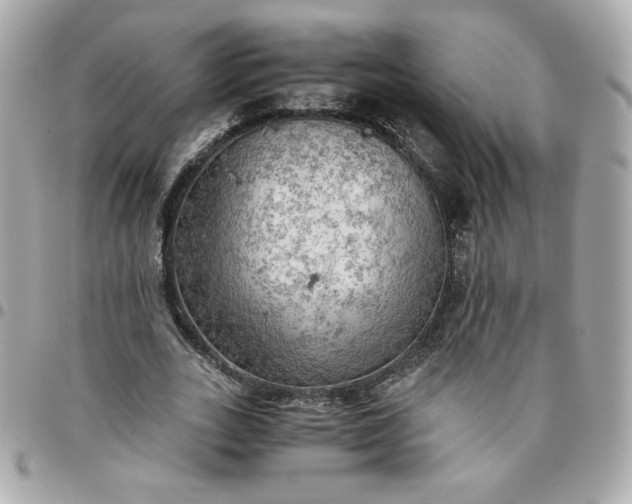 X0000096220727200802011343