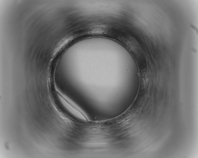 X0000096220728200802011343