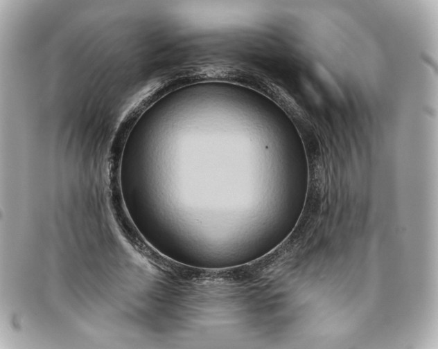 X0000096220730200802011343