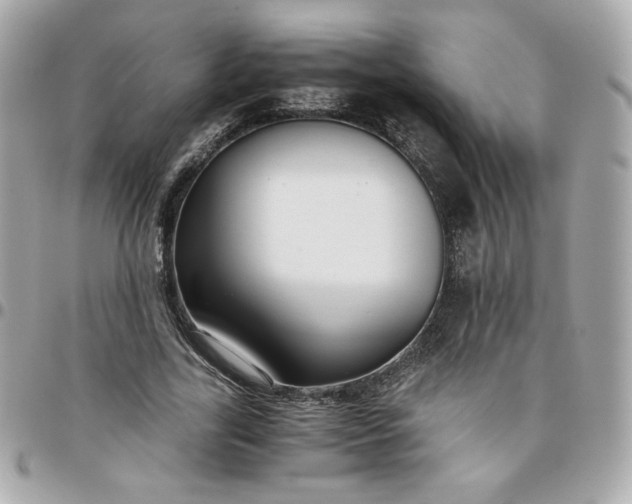 X0000096220731200802011343