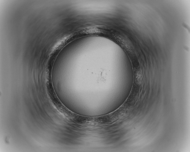 X0000096220732200802011343