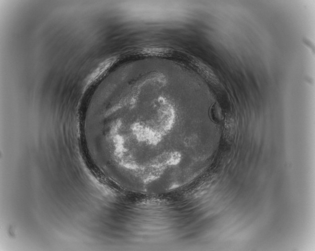 X0000096220734200802011343