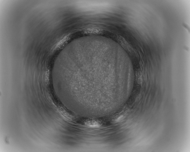 X0000096220735200802011343