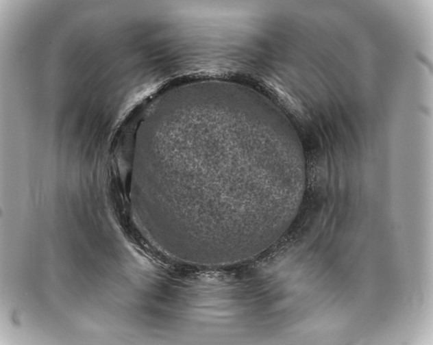 X0000096220736200802011343