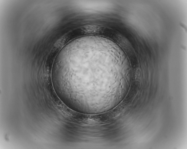 X0000096220737200802011343