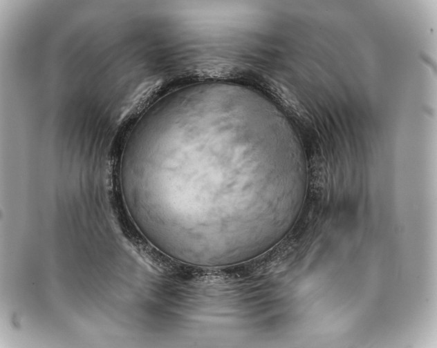 X0000096220738200802011343