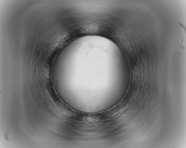 X0000096220739200802011343