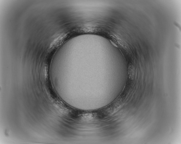 X0000096220740200802011343