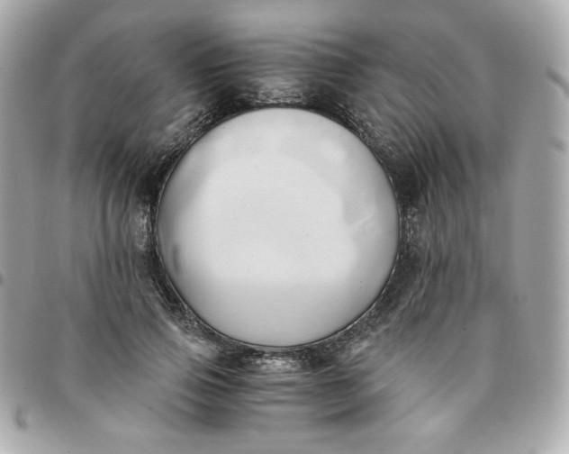 X0000096220741200802011343