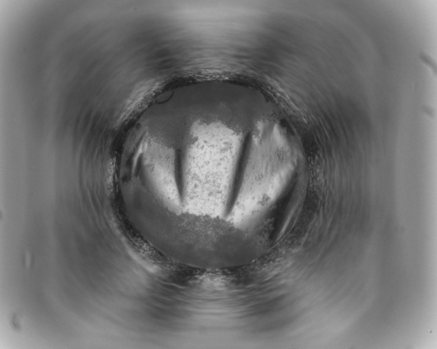 X0000096220742200802011343