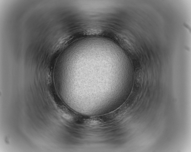 X0000096220743200802011343