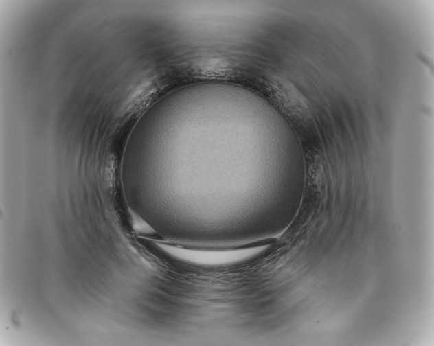 X0000096220744200802011343