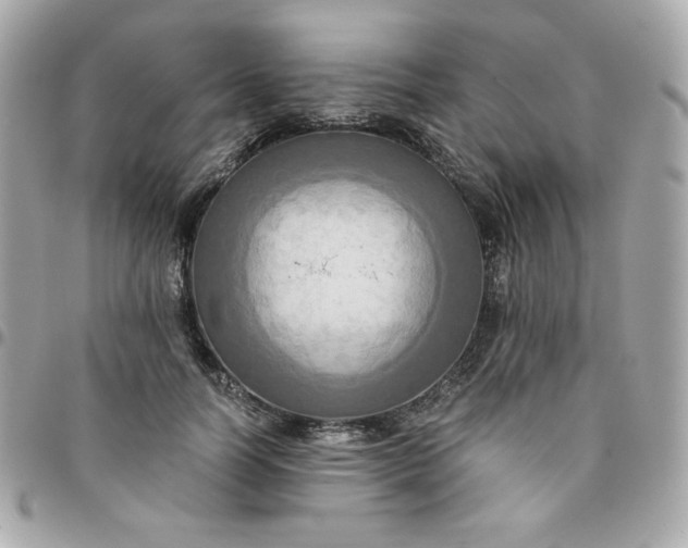 X0000096220746200802011343