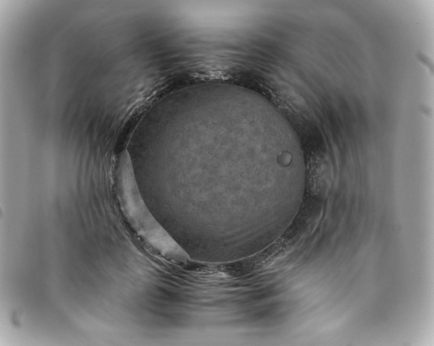 X0000096220747200802011343