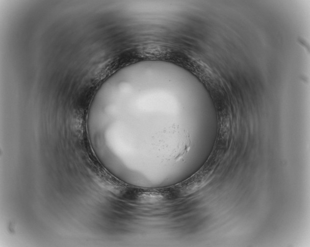 X0000096220749200802011343